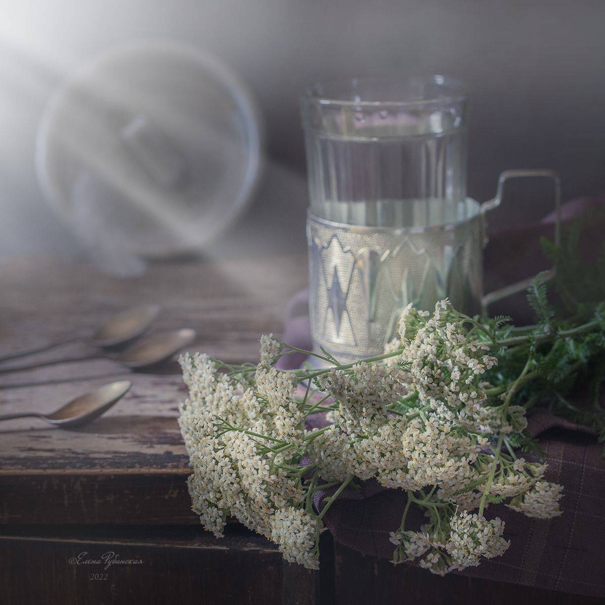 , Елена Рубинская