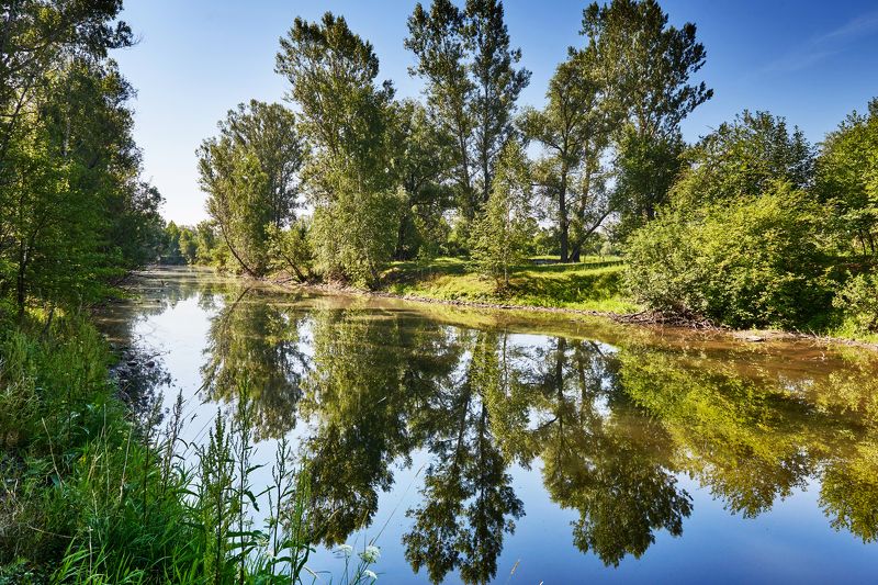 Тихий полдень фото превью