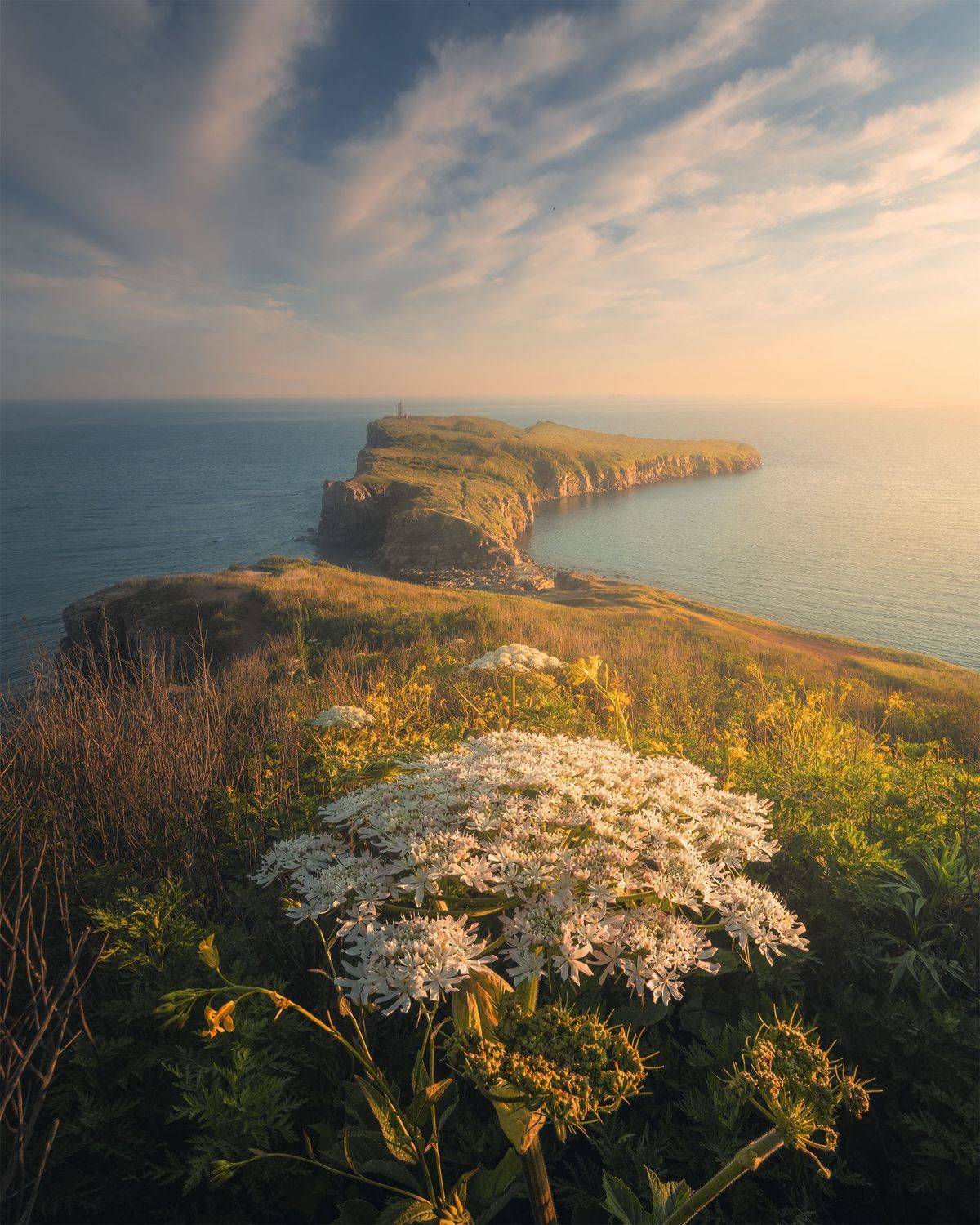 , Анна Политова