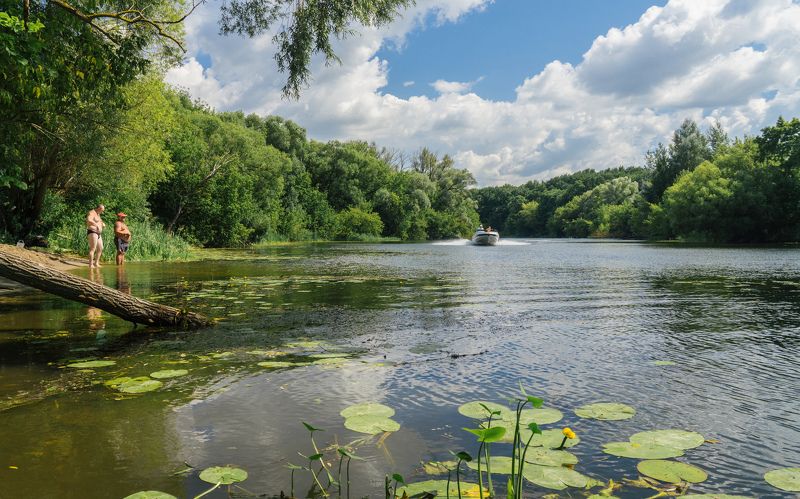 На реке фото превью