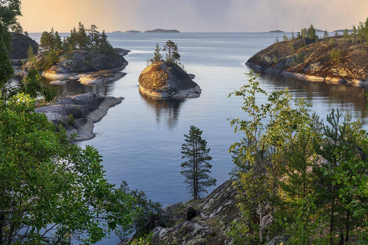 , Альбина Колодяжная