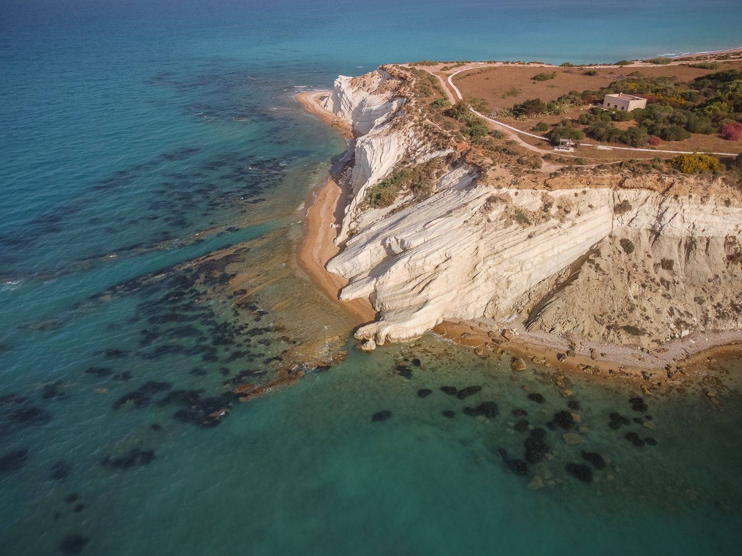 , Максимова Дария