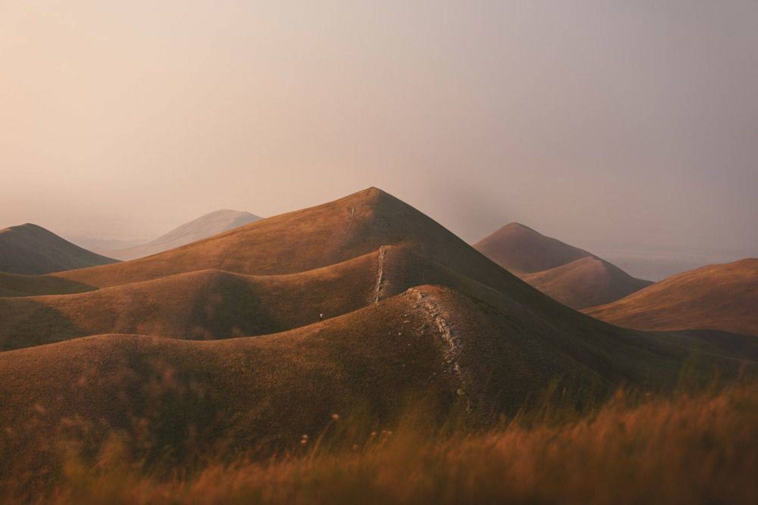 , Разум Митя