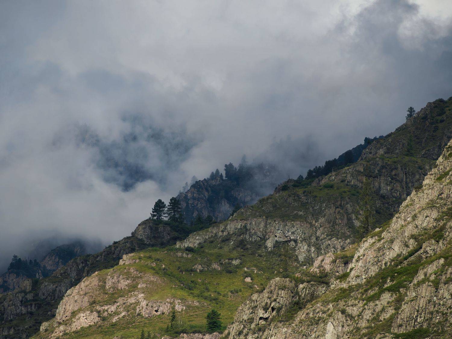 Горы, облака, деревья, Георгий Муравьёв