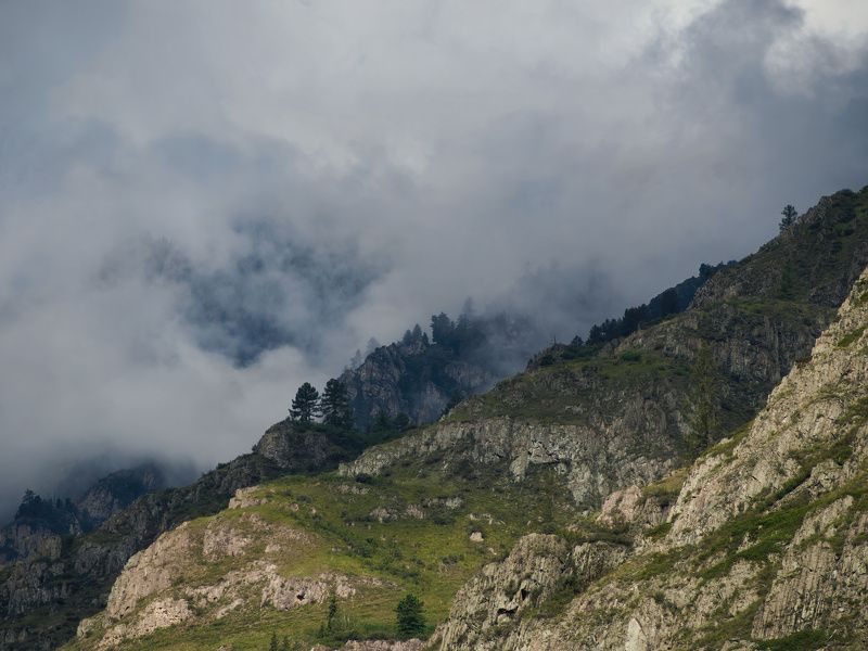 Горы, облака, деревья В облаках фото превью