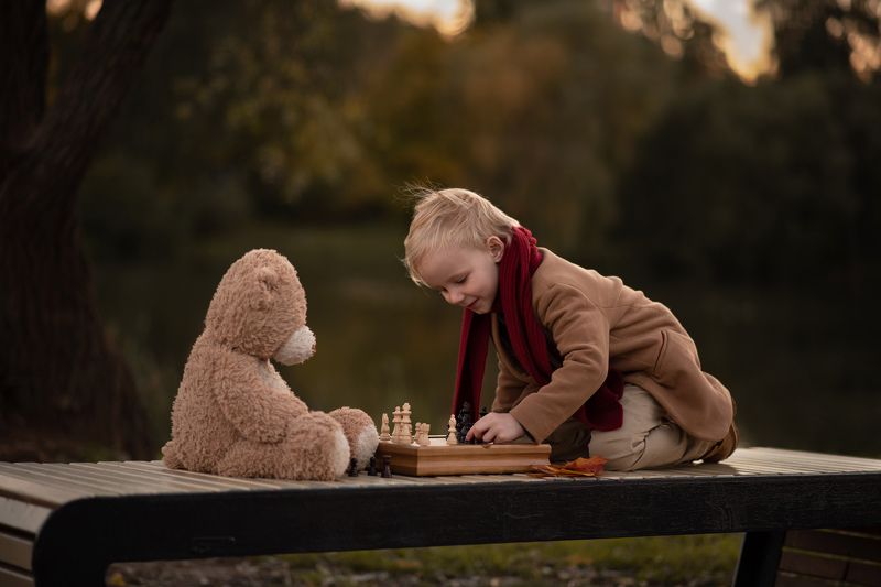 шахматы Ну что, мишка, ещё партийку? фото превью