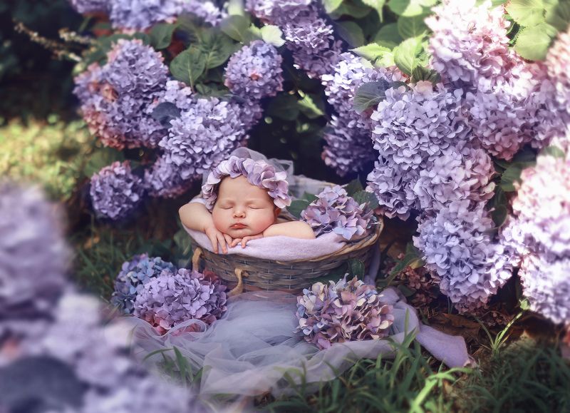 ... фото превью