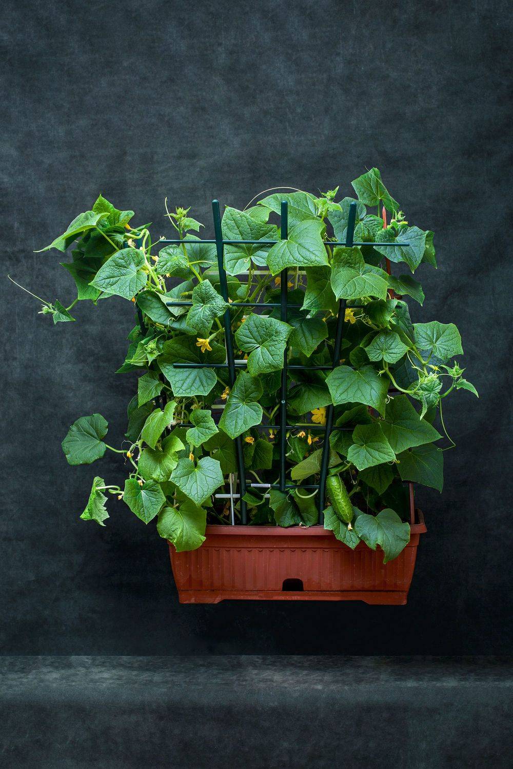 , Иванцов Валентин