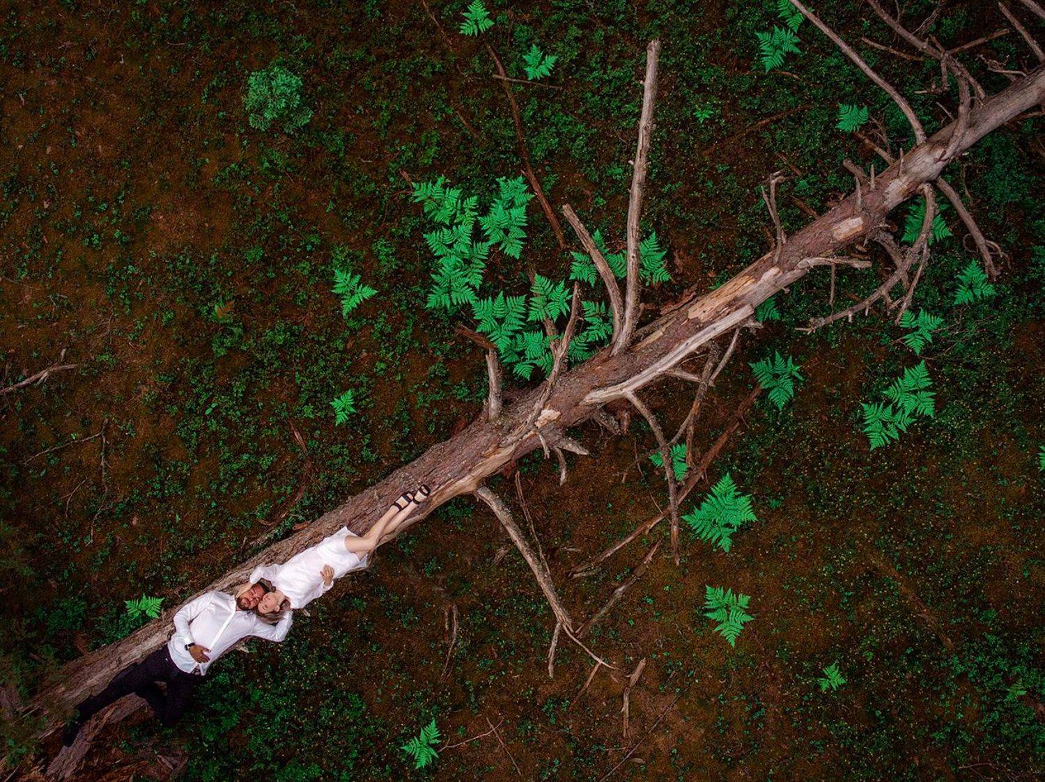 валдай, Тимофей Шутов