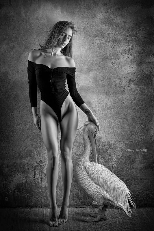 птицы Desire to fly... фото превью