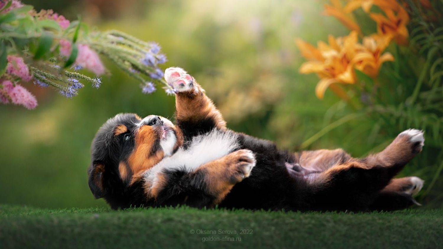 , Оксана Серова