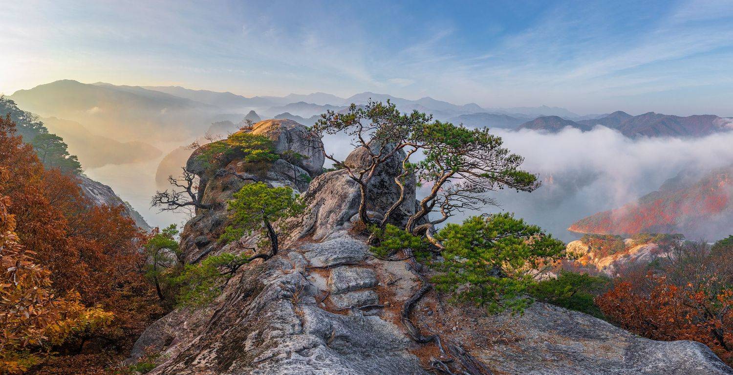 mountain, pine,clouds,tree,nature, Jaeyoun Ryu