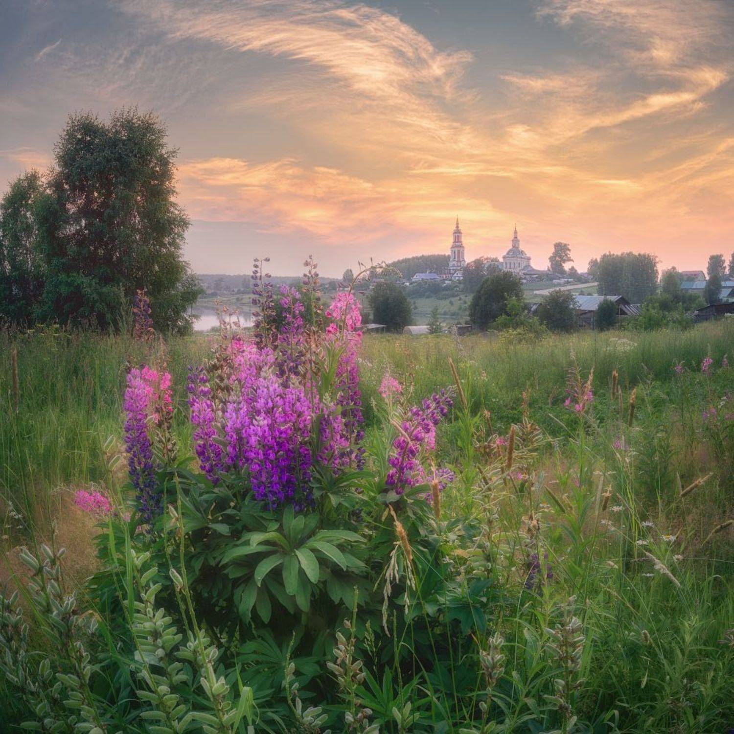 , Дмитрий Медянцев