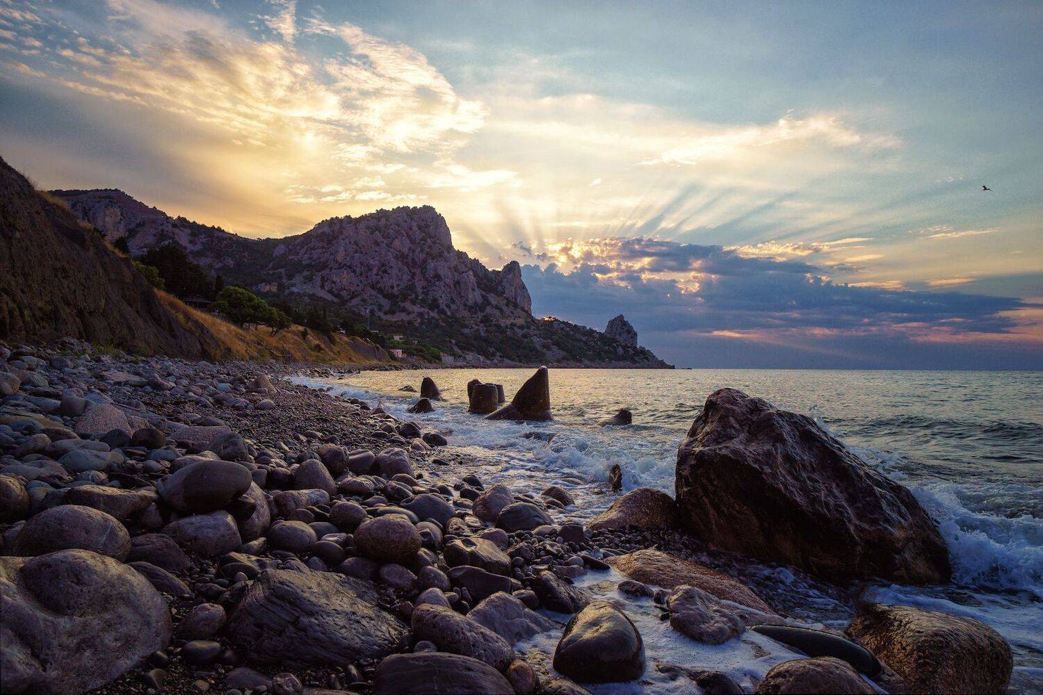 , Дмитрий Цыпляев