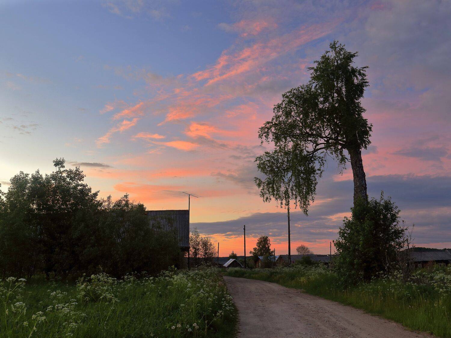 вечер, природа, закат, дерево, небо, дорога, деревня, спокойный, Титов Александр