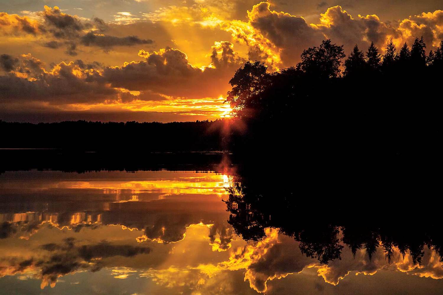 , Напалкин Станислав