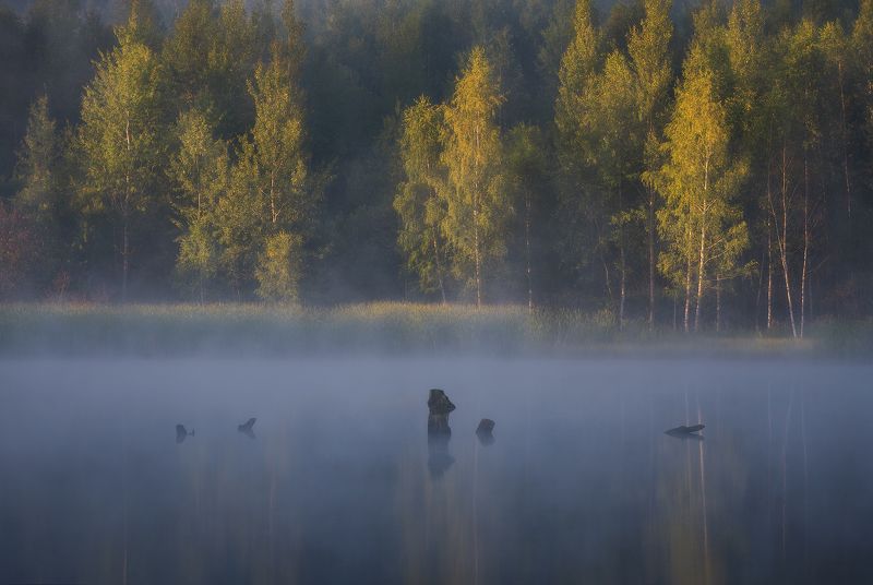 Прохлада фото превью