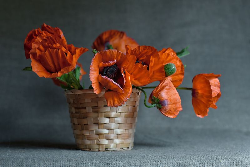 Маки фото превью