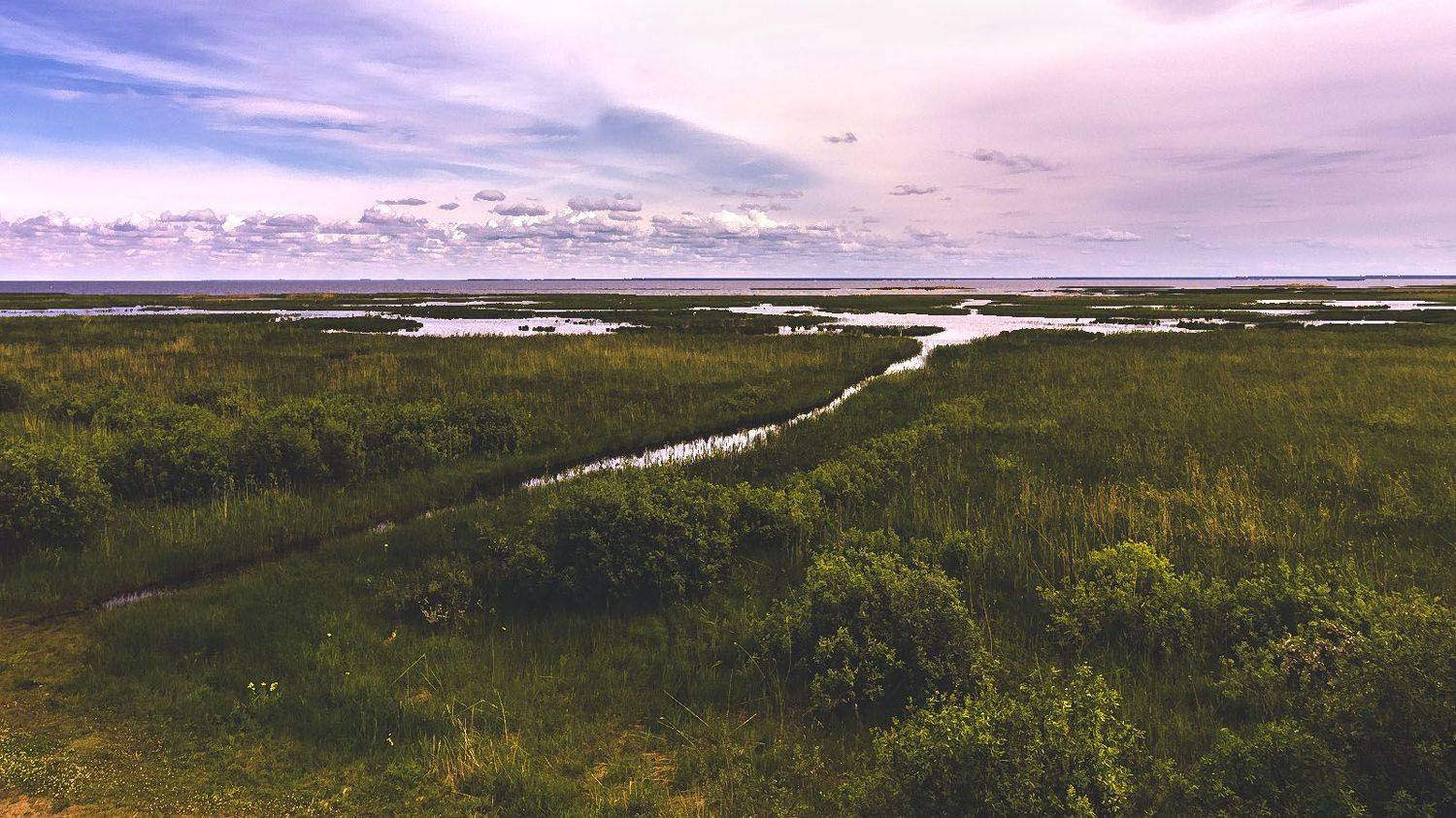 , Алексей Герасимов