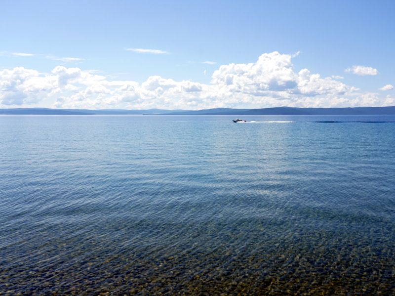 Mongol  фото превью