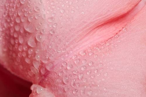 Гладиолусовой нежности глубины.