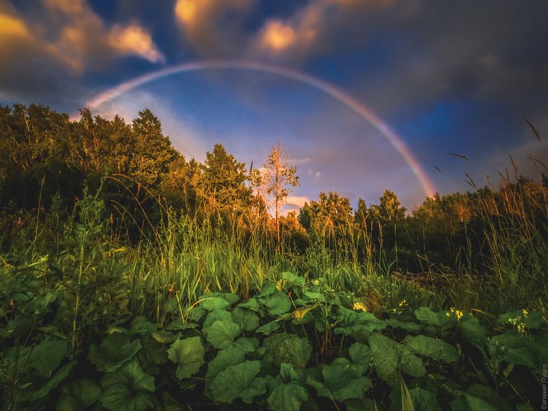 фото превью