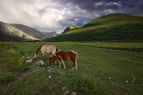 В вечернем свете