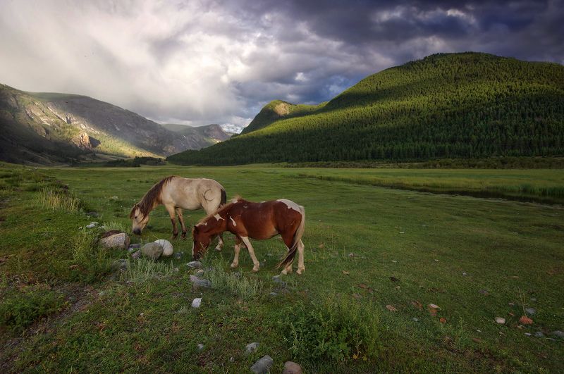 В вечернем свете фото превью