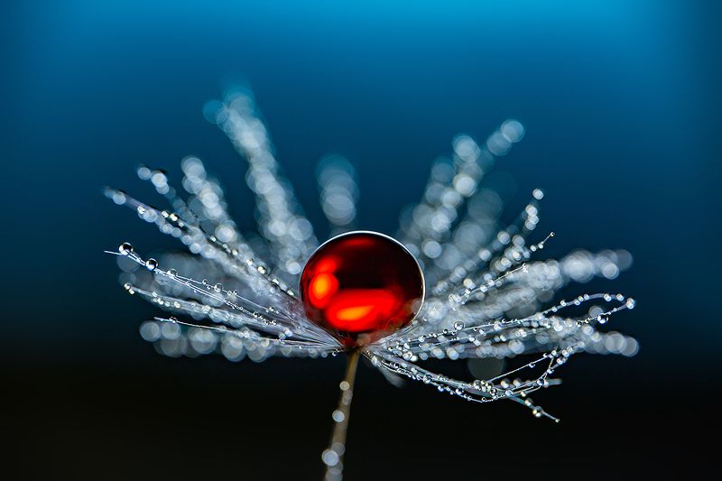 Абстракции с каплями фото превью