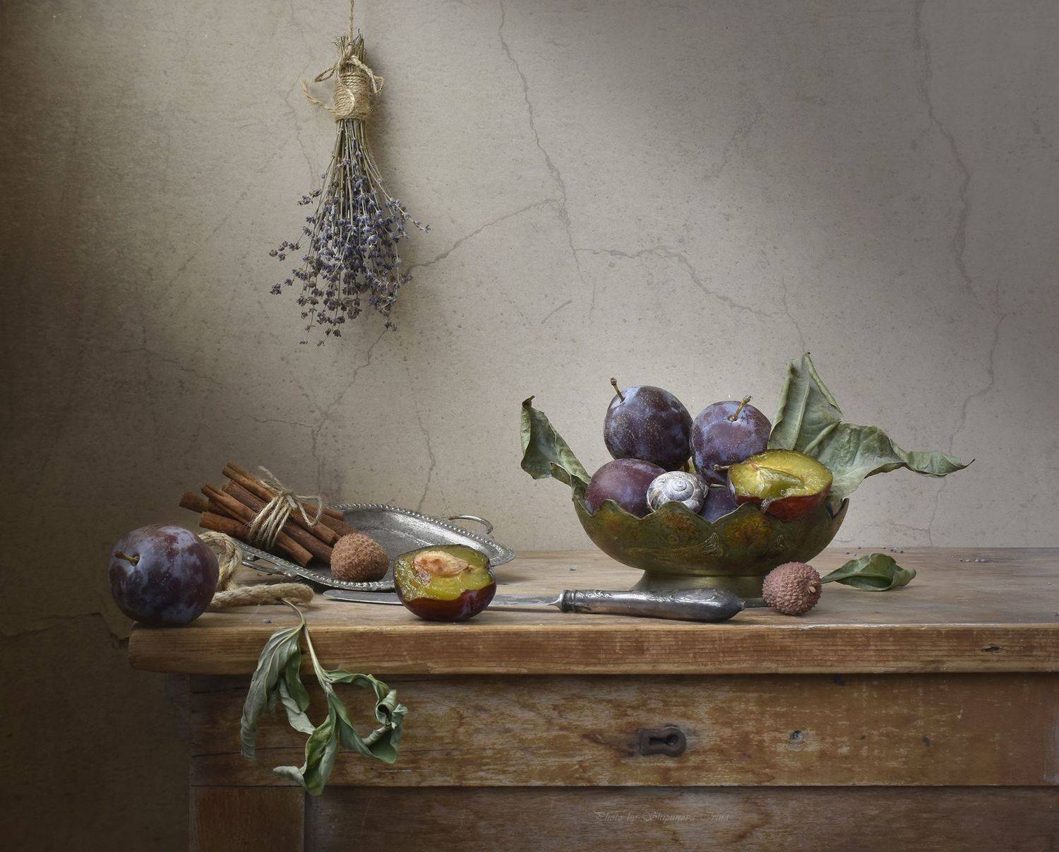 , Шипунова Ирина