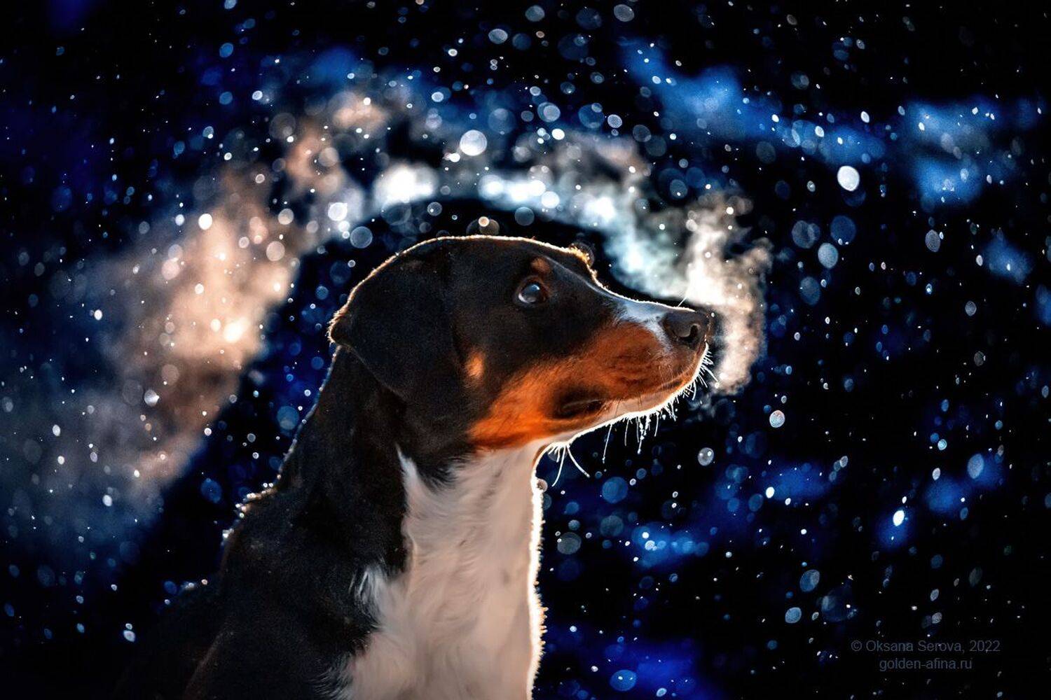 , Оксана Серова