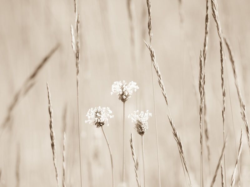 Карандаш и бумага фото превью