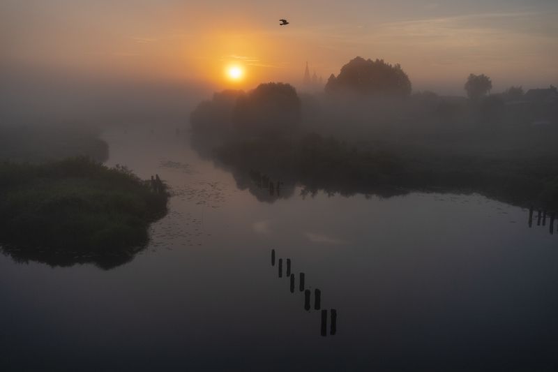 281 фото превью