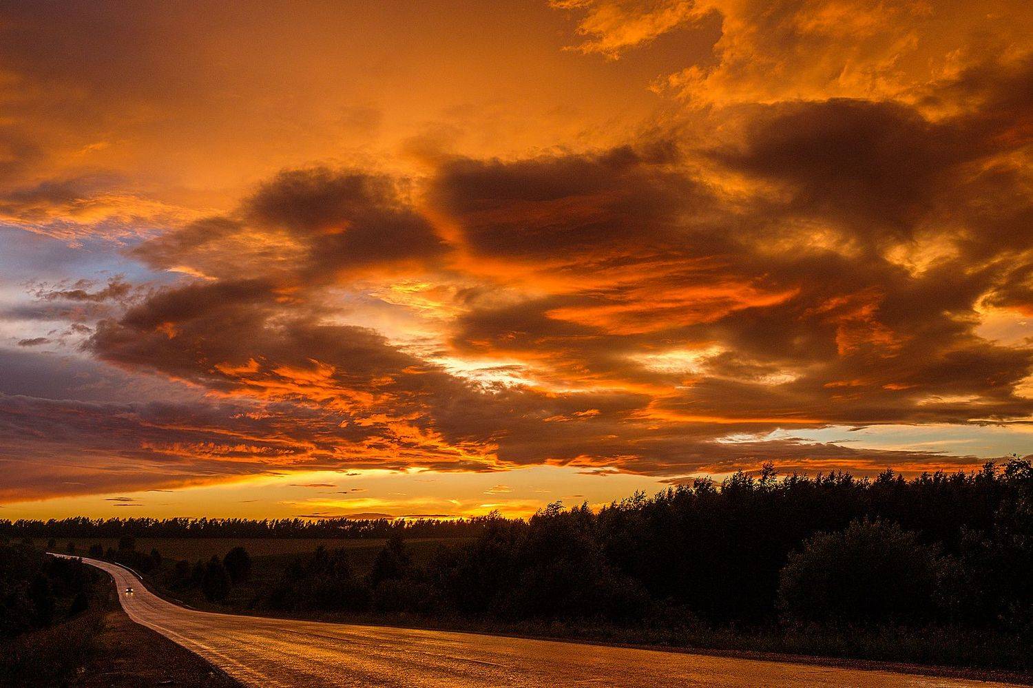 , Александр Потапов