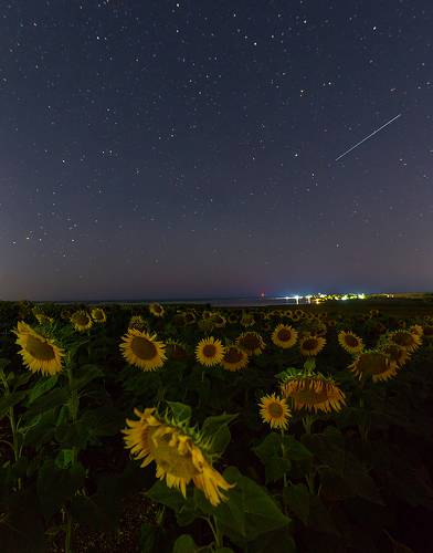 Крымская ночь