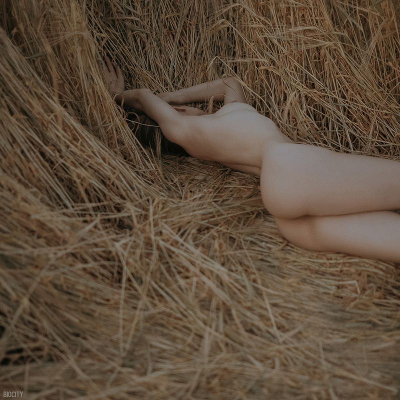 biocity, nude, девушка, поле, ню, girl, serenity фото превью