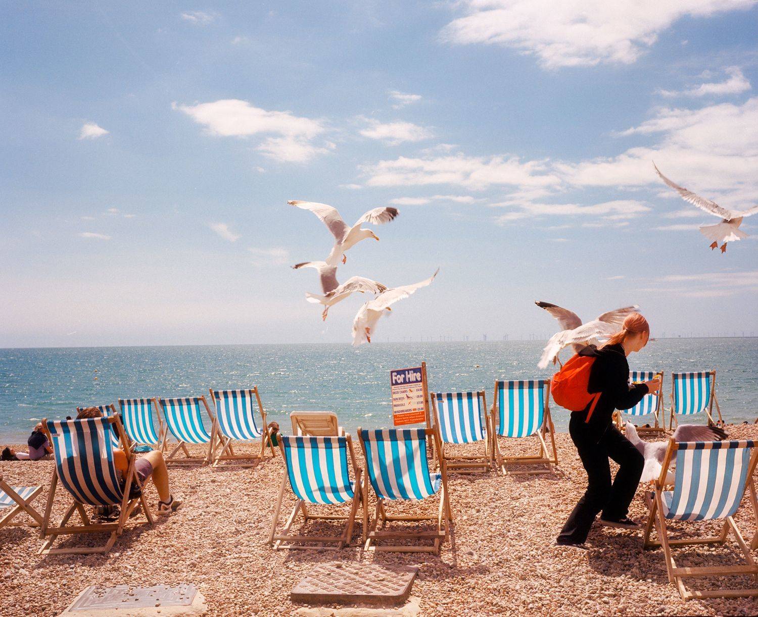 , Karamazov Vladimir