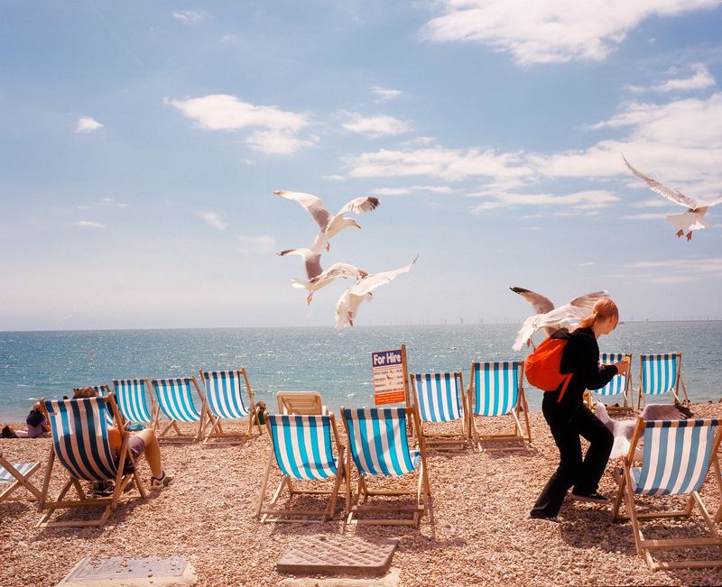 The bird gang фото превью