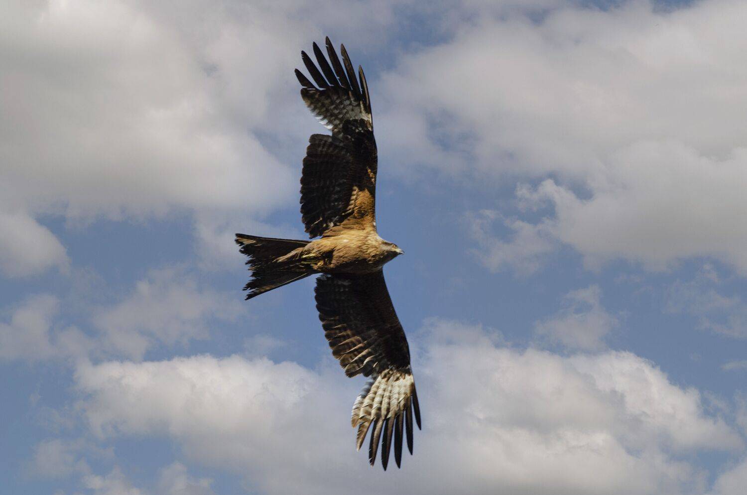 , Ольга Лукахина