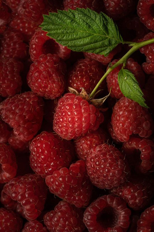 малина, ягоды, flatlay, макро, крупный план Малиновый август фото превью