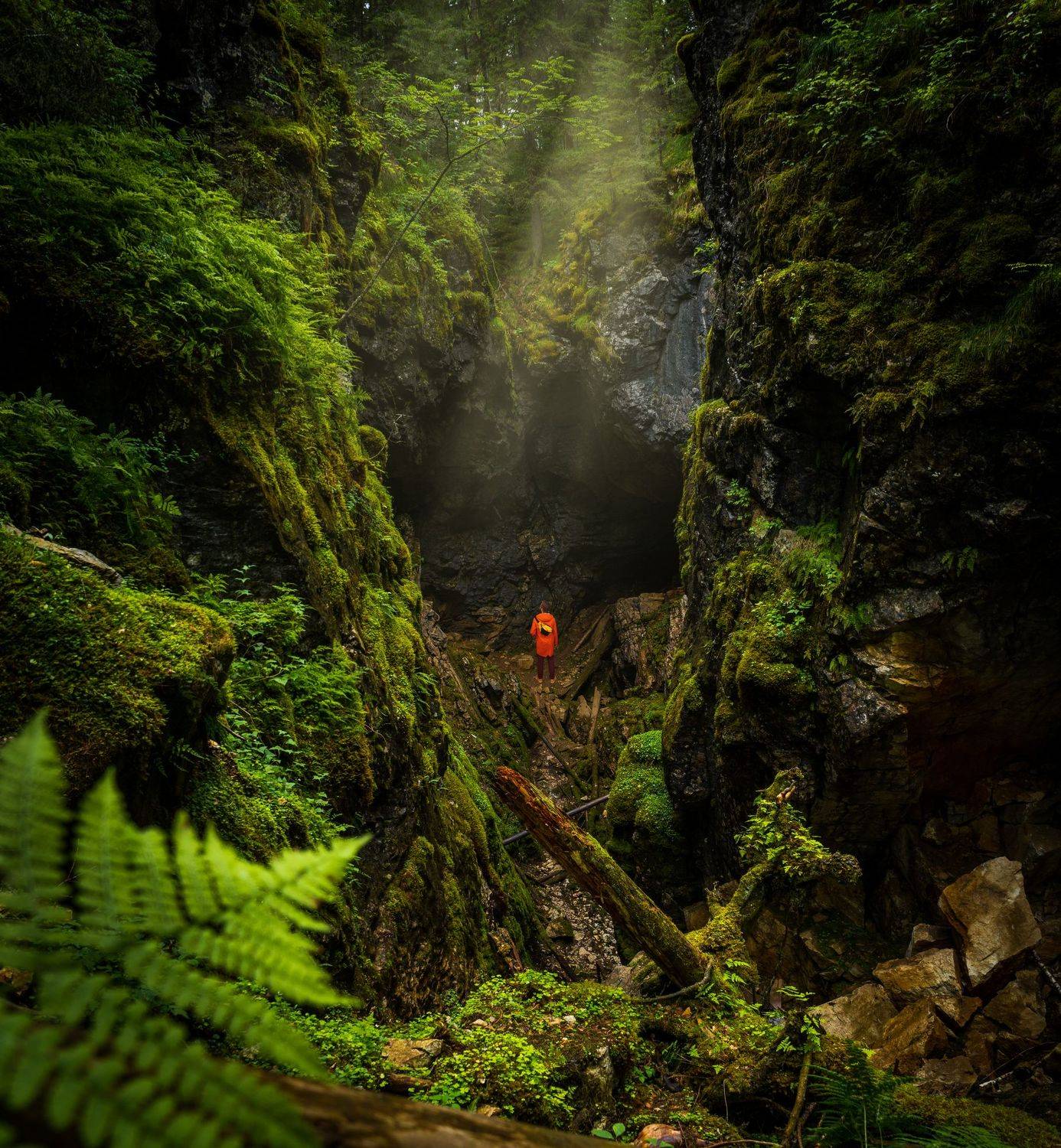 урал, оленьи ручьи, природный парк, трава, зелень, обрыв, Уфимцев Юрий
