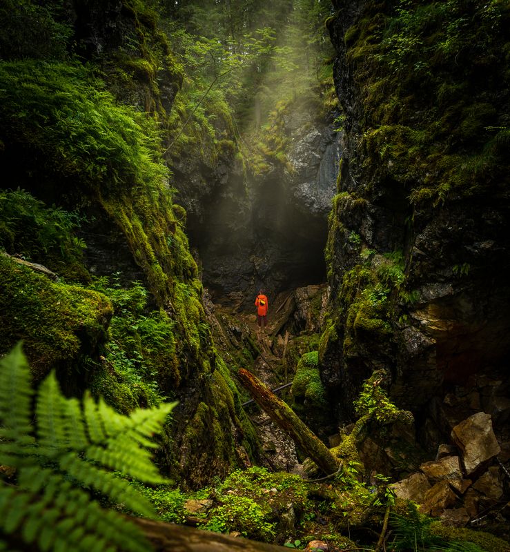 урал, оленьи ручьи, природный парк, трава, зелень, обрыв На дне провала фото превью