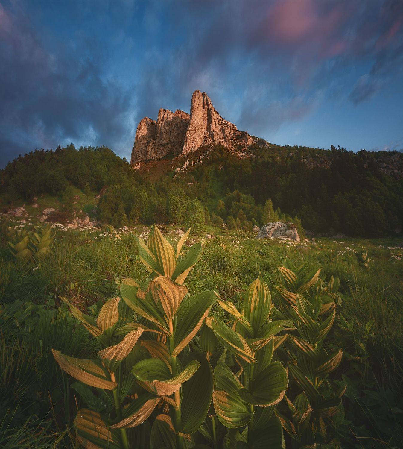 Природный парк Большой Тхач, Кавказ, Большой Кавказ, горы, утро, рассвет, Дмитрий Шишкин
