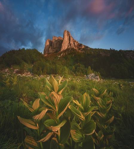 Утро под Большим Тхачем