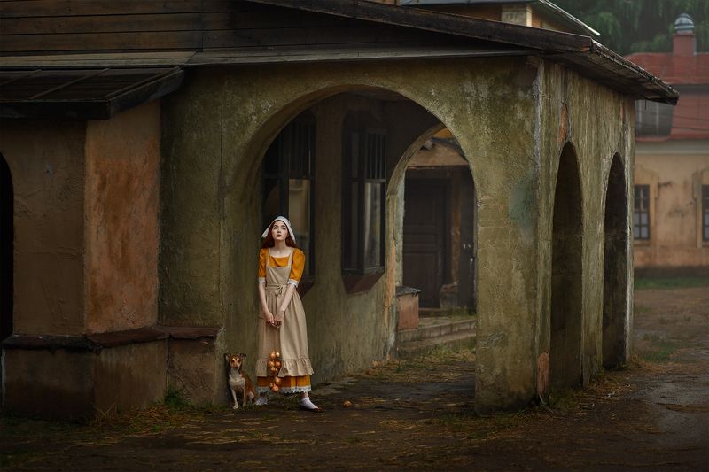 После дождя фото превью