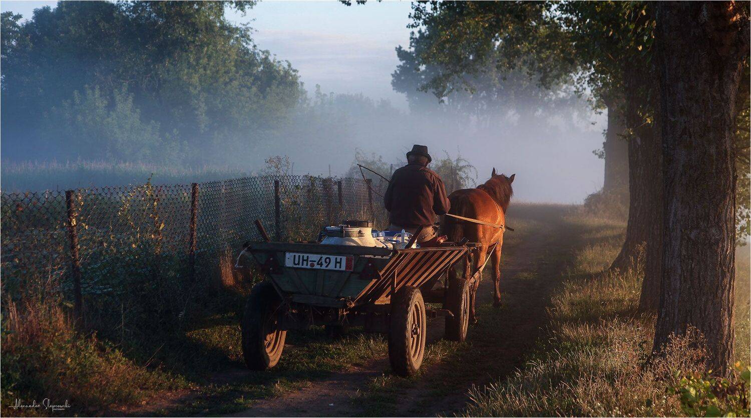 morning milk, Alexander Slepcowski