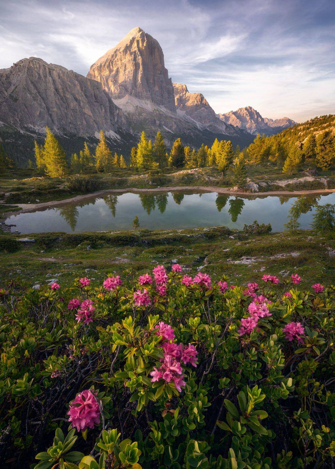 Landscape mountain sunset golden hour spring flowers lake, Stefano Balma
