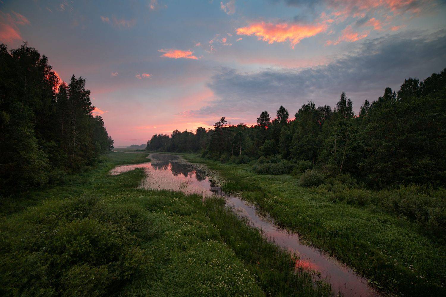 лес закат река, Герасимова Елена