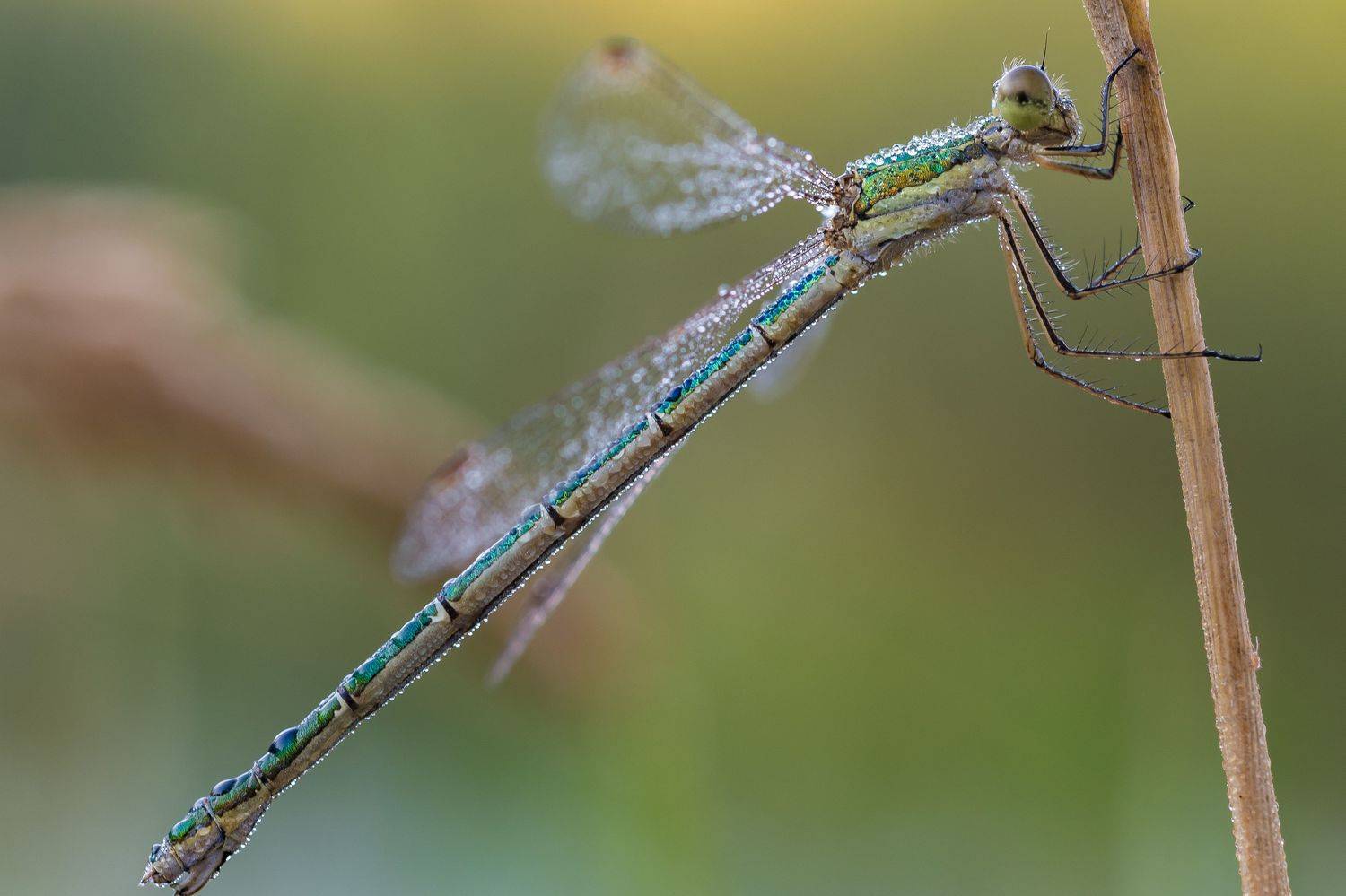 , Роман Зайцев