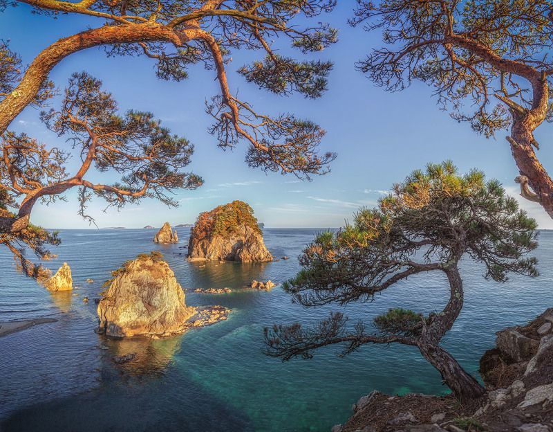 Земля Леопардов Приморский край .Мыс сосновый фото превью